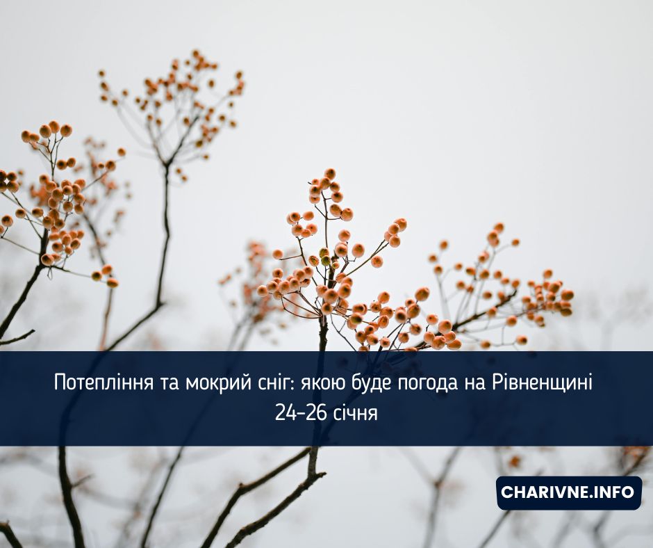 Фото ілюстративне